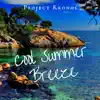 Project Kronos - Cool Summer Breeze - Single